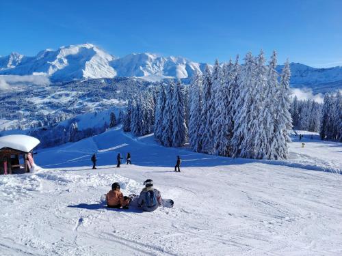 La Tanière des Cimes Sauna privé
