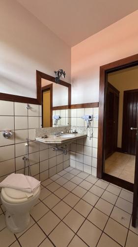 a bathroom with a toilet and a sink and a mirror at Hotel Fazenda Lagoa Grande in Sete Lagoas