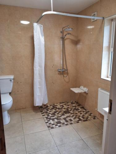 a bathroom with a shower and a toilet at John's Farmhouse in Kilrush