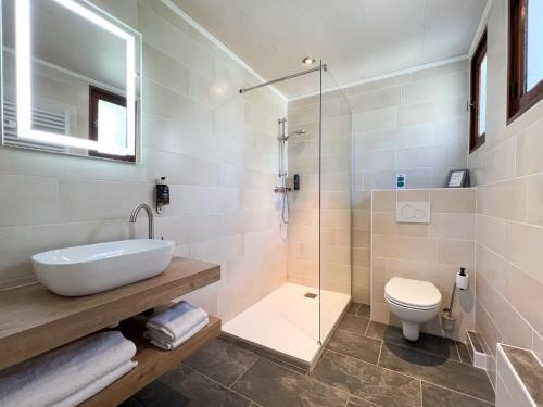 a bathroom with a sink and a toilet and a shower at Hôtel Spa & Restaurant Ô Pervenches in Chambéry