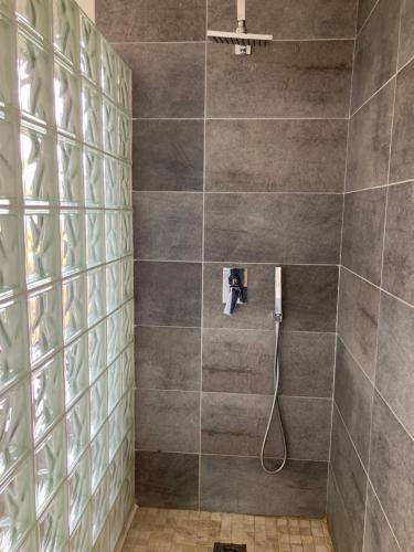 a bathroom with a shower with a hose at Hôtel de Ville, T3, 2 chambres, 2 salles de bain in Saint-Étienne