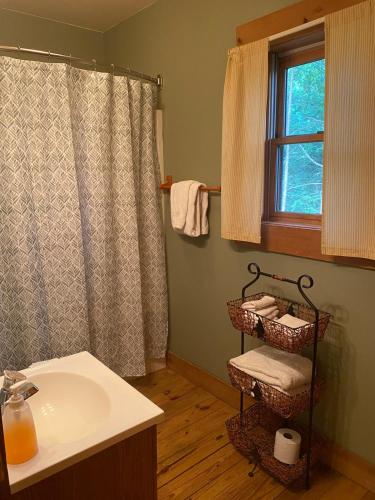 a bathroom with a sink and a towel rack at Turkey Ridge Retreat in Bryson City