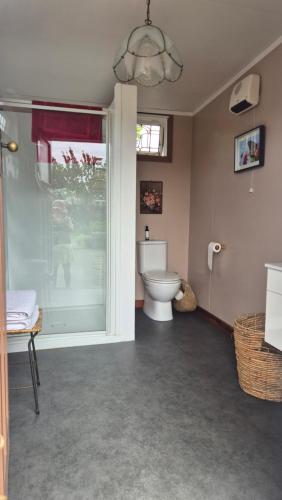 a bathroom with a toilet and a window at Boutique Retro Caravan in Westport