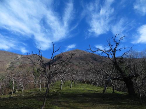 Un paisaje natural cerca de la casa de huéspedes