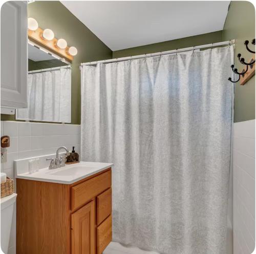 a bathroom with a shower curtain and a sink at The Cozy Cub in Cross Lake
