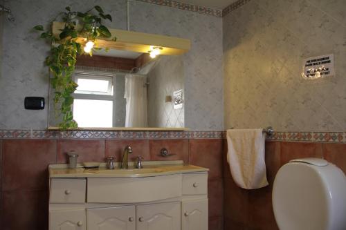 a bathroom with a sink and a mirror at Puente Austral in San Carlos de Bariloche