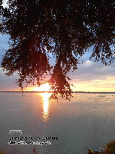 een boom die over een wateroppervlak hangt met de zonsondergang bij Riverside Hotel in Kratie