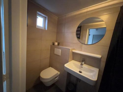 a bathroom with a toilet and a sink and a mirror at 5 persoons vakantiewoning Robbenoort 50 Lauwersoog in Lauwersoog