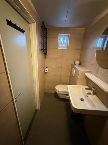 a small bathroom with a toilet and a sink at 5 persoons vakantiewoning Robbenoort 50 Lauwersoog in Lauwersoog