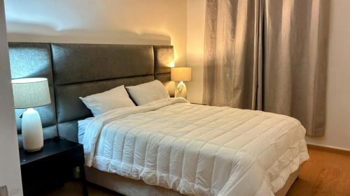 ein Schlafzimmer mit einem großen weißen Bett und zwei Lampen in der Unterkunft Casa Luma in Aguascalientes