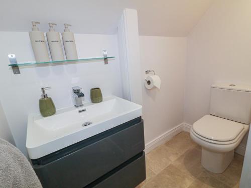 a bathroom with a white sink and a toilet at The Loft - 96B in Articlave