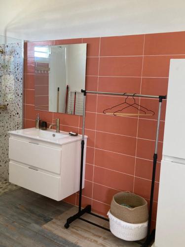 a bathroom with a sink and a mirror at La villa Surette in Capesterre