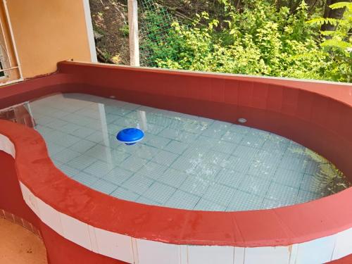 a small pool with a blue ball in the middle at Casa Blanca Zipolite, Dream House in Zipolite