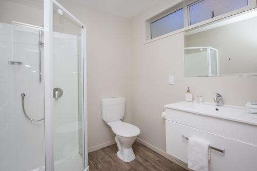 a bathroom with a toilet and a sink and a shower at Greyfriars Motel in Greytown