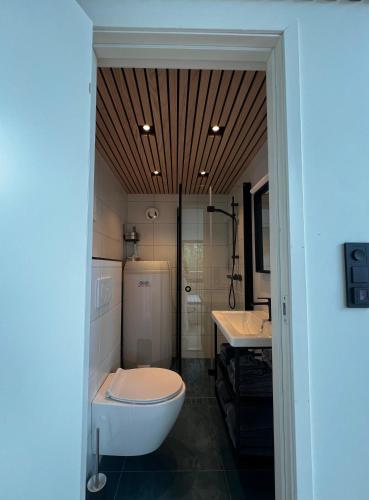 a bathroom with a toilet and a sink at Efjord and Stetind Resort - Cabin Kulhorn in Ballangen