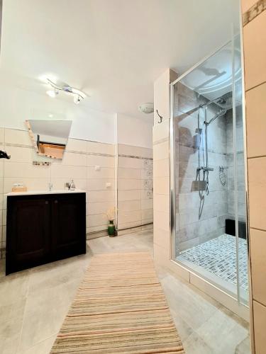 a bathroom with a shower and a sink at Clematis House in Voronet