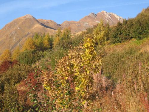 a hill with trees and mountains in the background at Baita La Jolie Bergere in La Salle