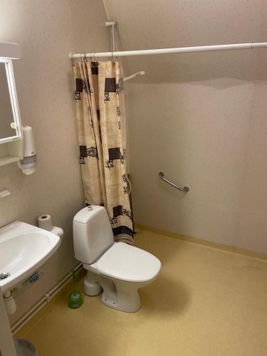 a bathroom with a toilet and a sink at Trunnagården in Orsa