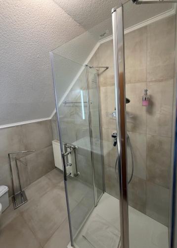 a shower with a glass door in a bathroom at Hotel Adria Stuben in Koblenz