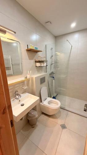 a bathroom with a toilet and a sink and a shower at Bakuriani valley Didveli in Bakuriani