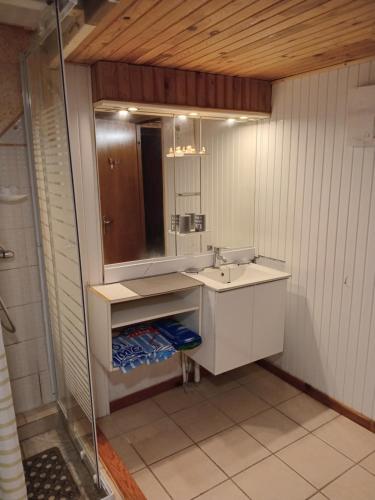 a bathroom with a sink and a mirror at la kaza in Le Morne Rouge