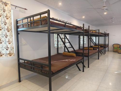 a group of bunk beds in a room at The Rishi Van Dormitory, Khetri,Rajasthan,Farm No 52-55,Vally Drive,Retreat Nature Farms Society Complex in Khetri