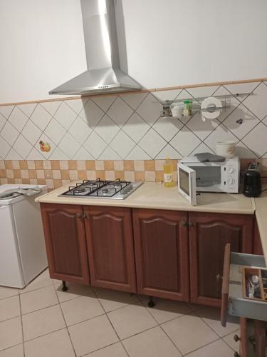 a kitchen with a stove and a microwave at la kaza in Le Morne Rouge
