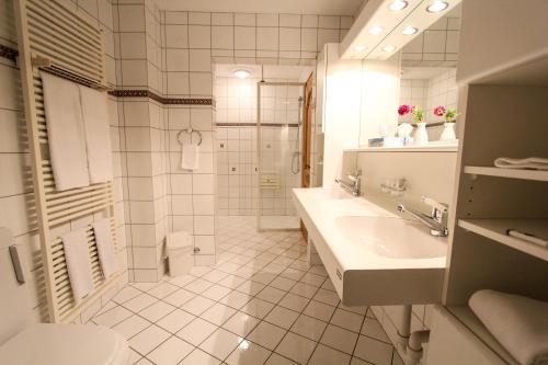 Schweizerhof tesisinde bir banyo