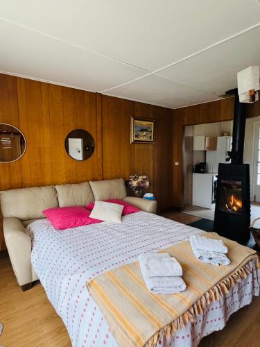 a bedroom with a large bed with pink pillows and a fireplace at Chill & Nature in Nargis