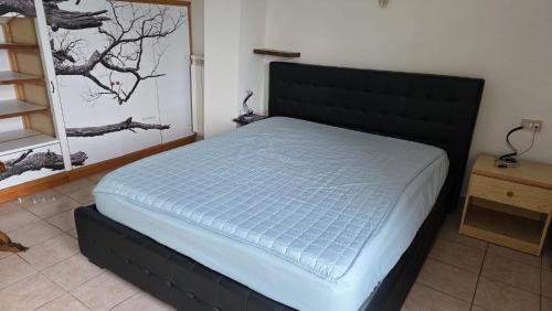 a bed with a black headboard in a bedroom at Casa Rosa in Rocca San Giovanni