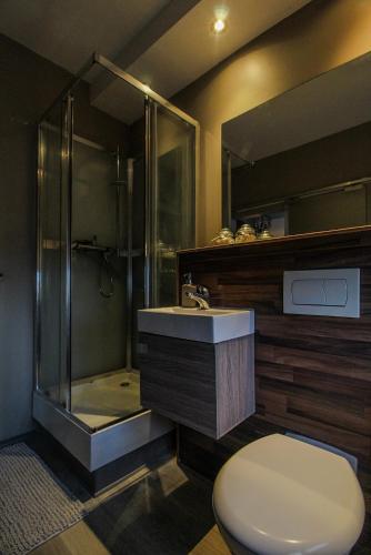 a bathroom with a shower and a toilet and a sink at Nupan Deluxe in Keflavík