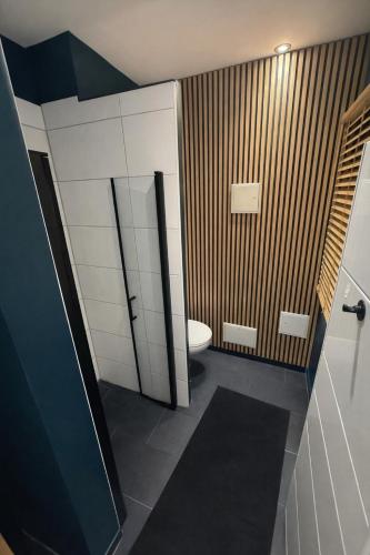 a bathroom with a toilet and a sink at stayOldenburg in Oldenburg
