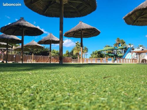 Camping LA PALMERAIE