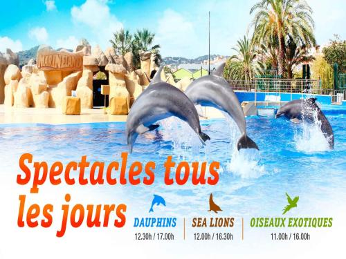 a group of dolphins in the water at a water park at Residence Acapulco in Villeneuve-Loubet