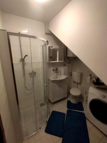a bathroom with a shower and a toilet and a sink at Apartman Centar in Grude