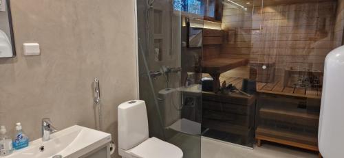 a bathroom with a toilet and a sink and a shower at Levi Lakeview Ahvenranta in Kittilä