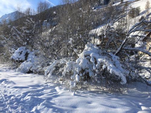 a snow covered hillside with trees and bushes at Xenia Apartments in Kappl