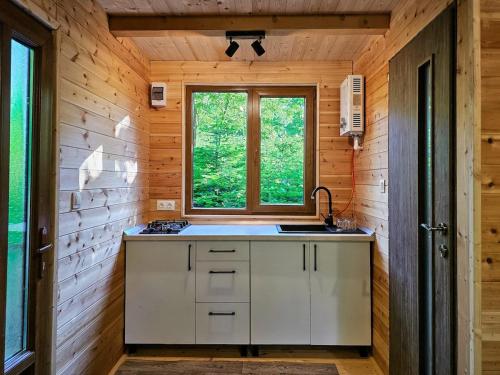 a kitchen with a sink and a window at Bear Watching Tiny House in Lupeni