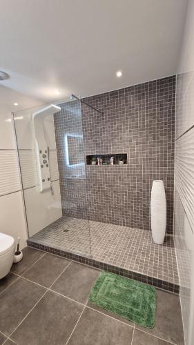 a bathroom with a shower with a green rug at Le Peekskill in Montbron