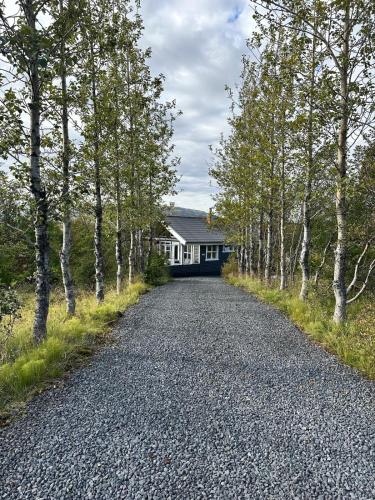 Hólakot Cozy Cottage in the Golden Circle