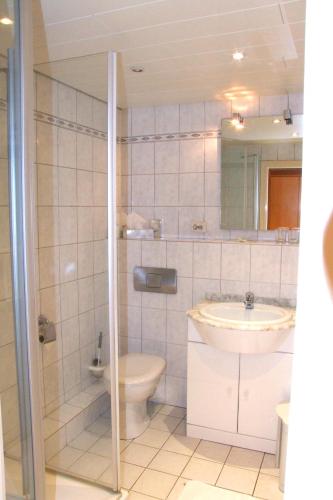 a bathroom with a toilet and a sink at Hotel und Gasthaus Sieling in Liebenau