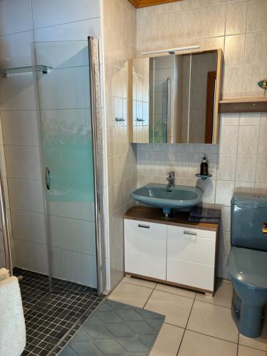 a bathroom with a shower and a sink and a toilet at Egglmeier's Ferienwohnung in Grundlsee