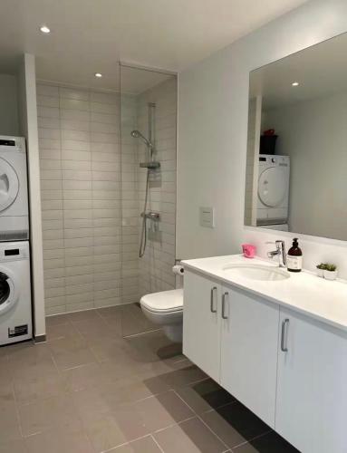 a bathroom with a toilet and a sink and a washing machine at Beach View Apartment in Vallensbæk in Vallensbæk