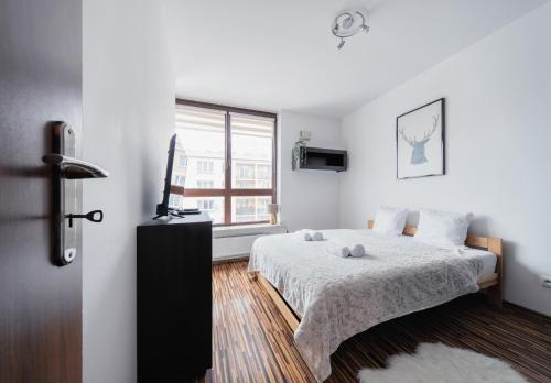 RentPlanet - Apartament Kazimierza Wielkiego