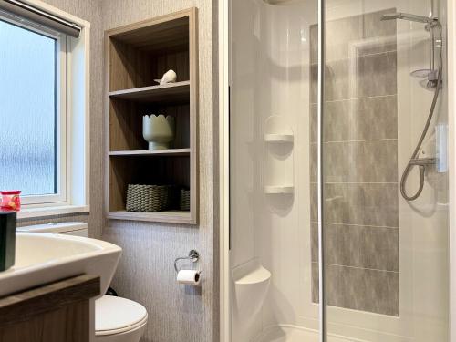a bathroom with a shower and a toilet and a sink at JJs Lodge Jorvik in Walkington