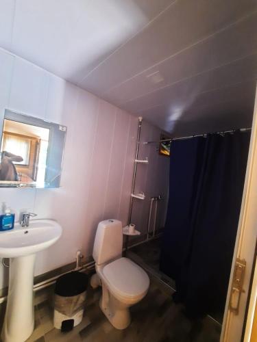 a bathroom with a white toilet and a sink at Dartlo Hotel in Dart'lo