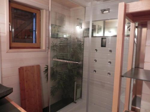 a bathroom with a glass shower in a room at chalet besse en chandese in Besse-et-Saint-Anastaise