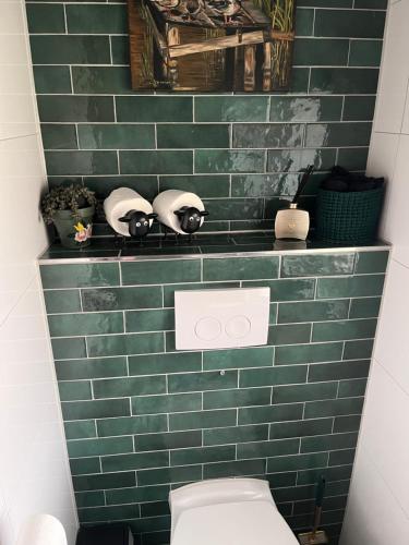 a bathroom with a green tiled wall and a toilet at t Dinxken in Dinxperlo