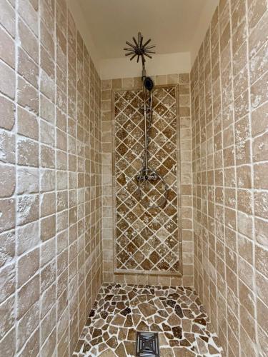 a bathroom with a shower with a tiled wall at Mas de la Meï in Cavaillon