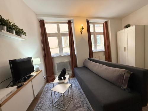 Georges - 1 Bedroom - Old Lyon